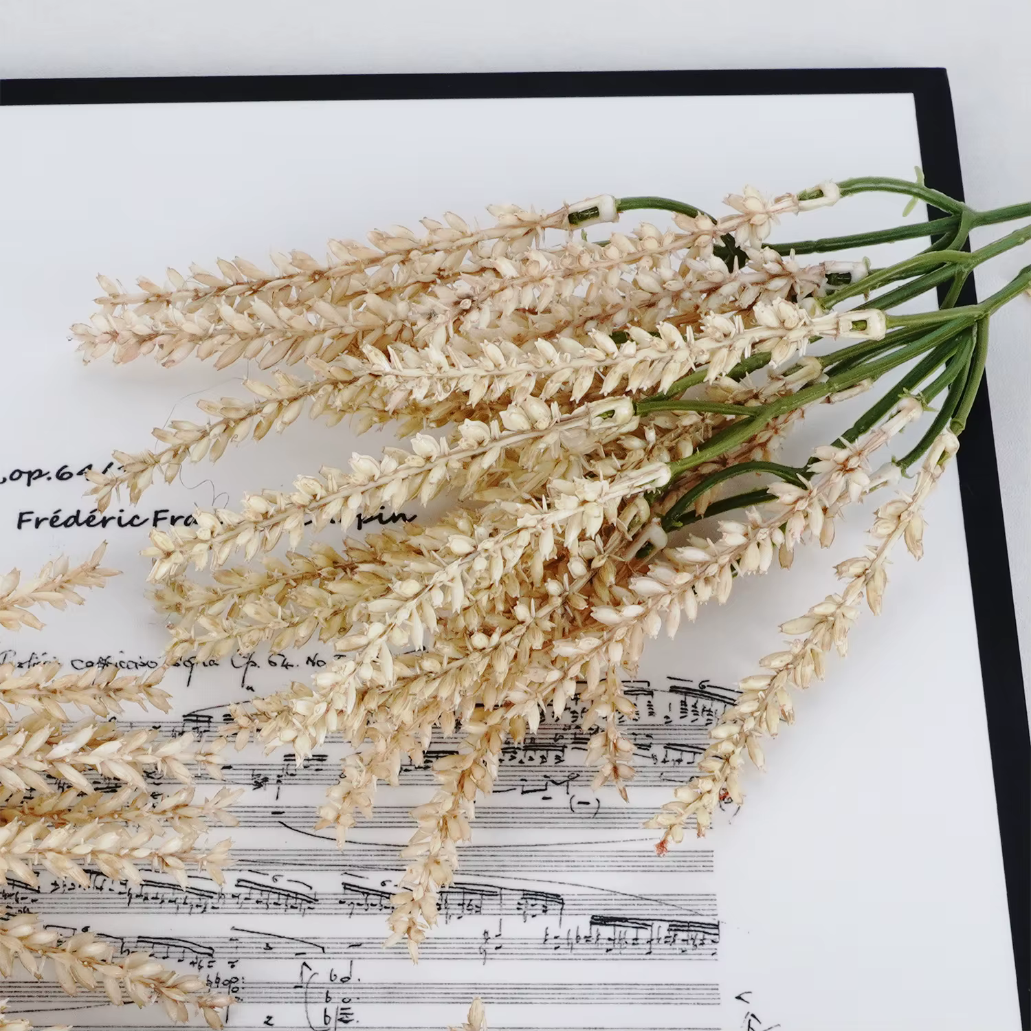 Plantes artificielles naturelles