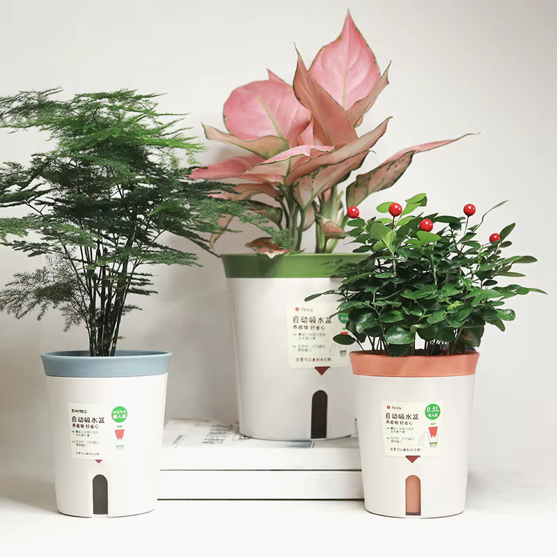 User inières rondes auto-arrosantes pour plantes d'intérieur et d'extérieur