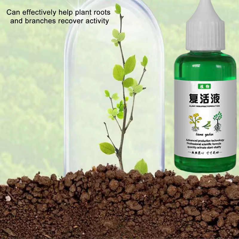 Solution universelle pour plantes