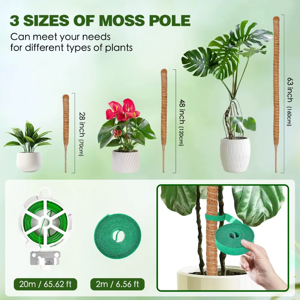 Support d'escalade pour plantes pliables