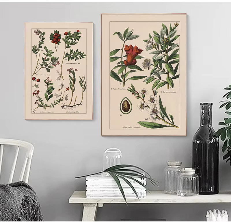 Affiches et impressions d'herbes botArabes vintage