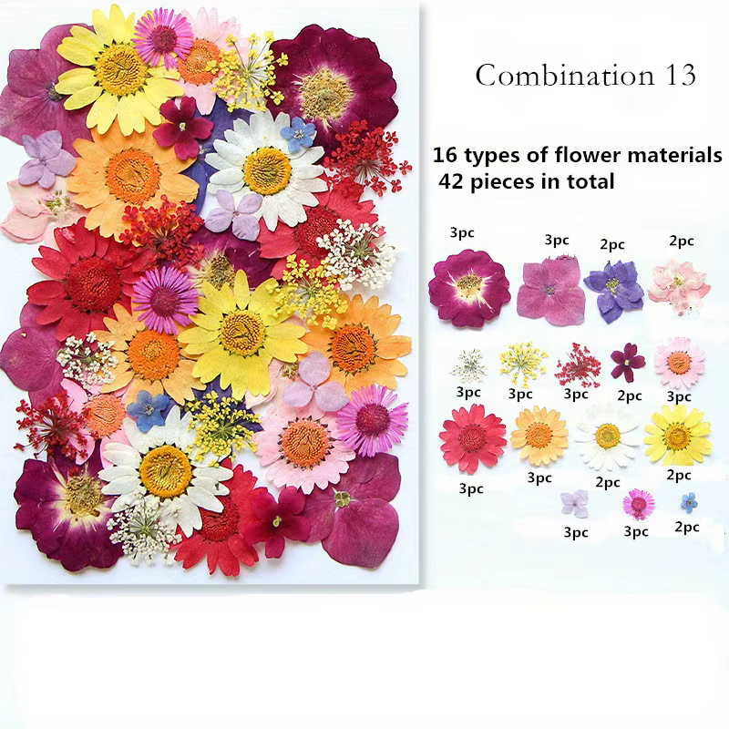 Fleurs pressées séchées pour moule en résine