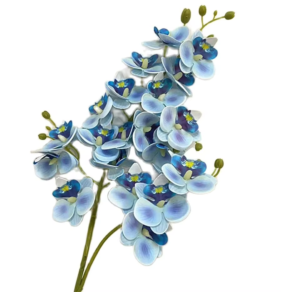 Fleurs d'orchidées papillon en Latex