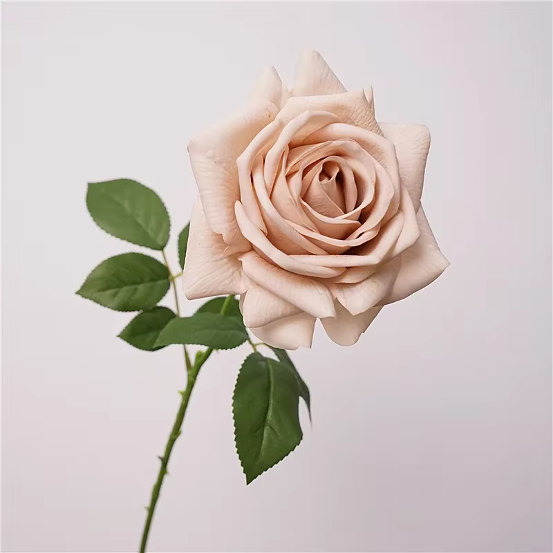 5 pièces sensation hydratante vraie touche Rose fleur fleurs artificielles décor de Mariage