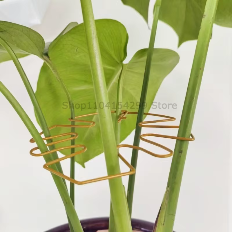 Support robuste pour grande plante Monstera