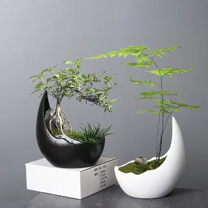 Pot de fleur en céramique en forme de corne de rhinocéros