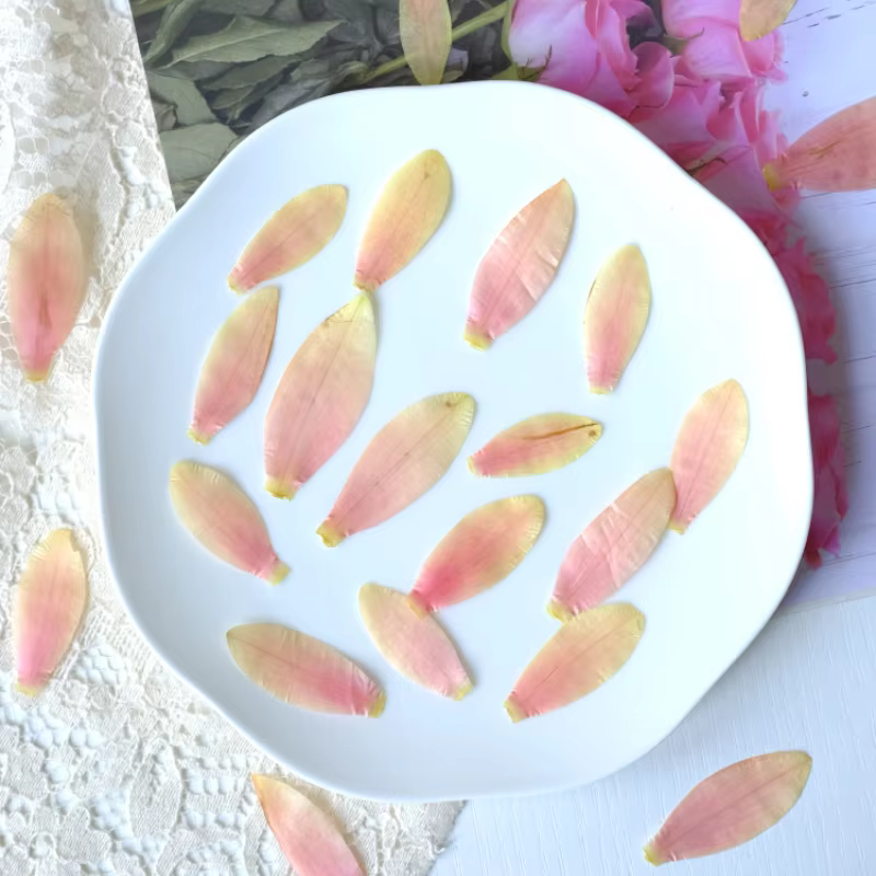Pétales de fleurs de nénuphar séchées