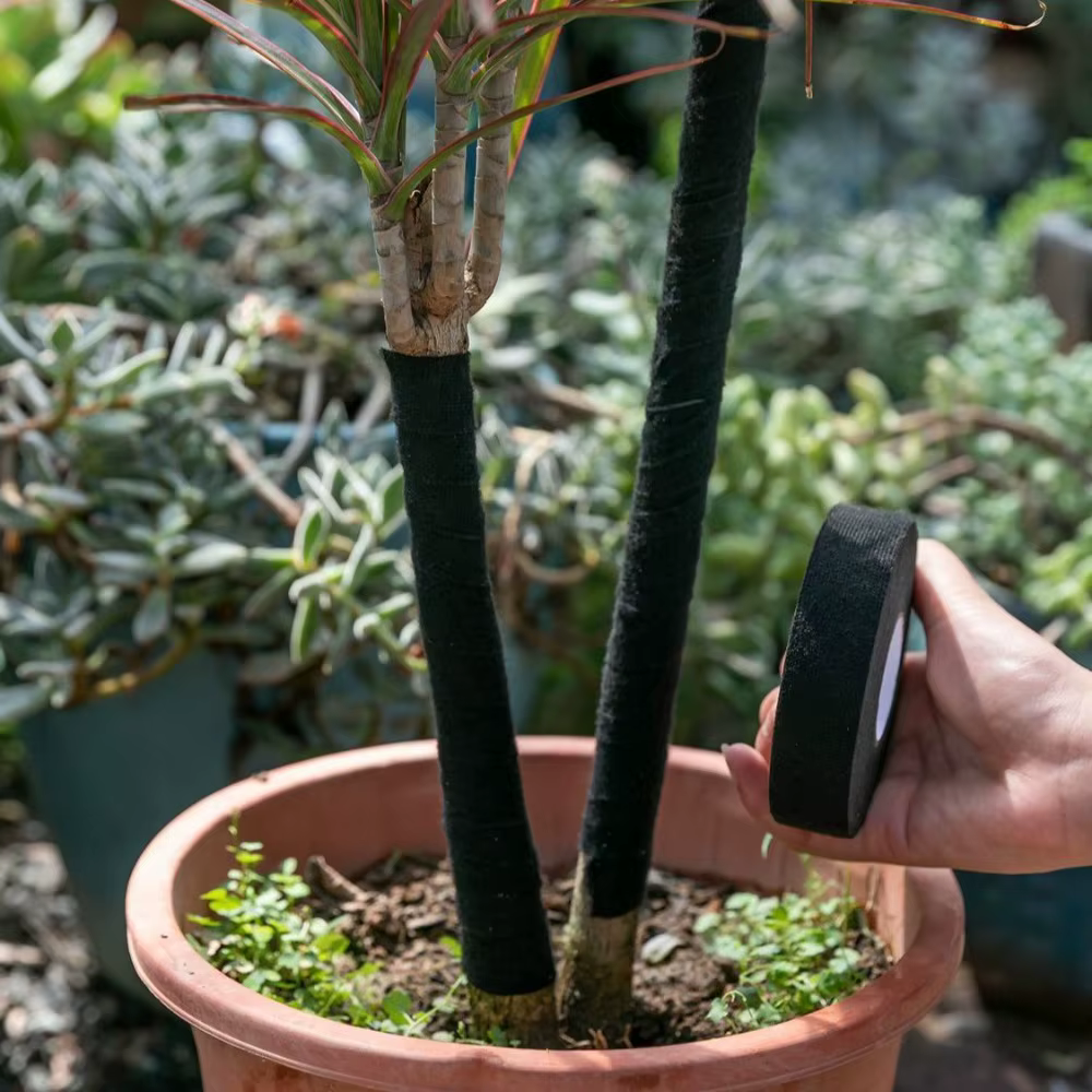 Ruban adhésif pour plantes en velours noir