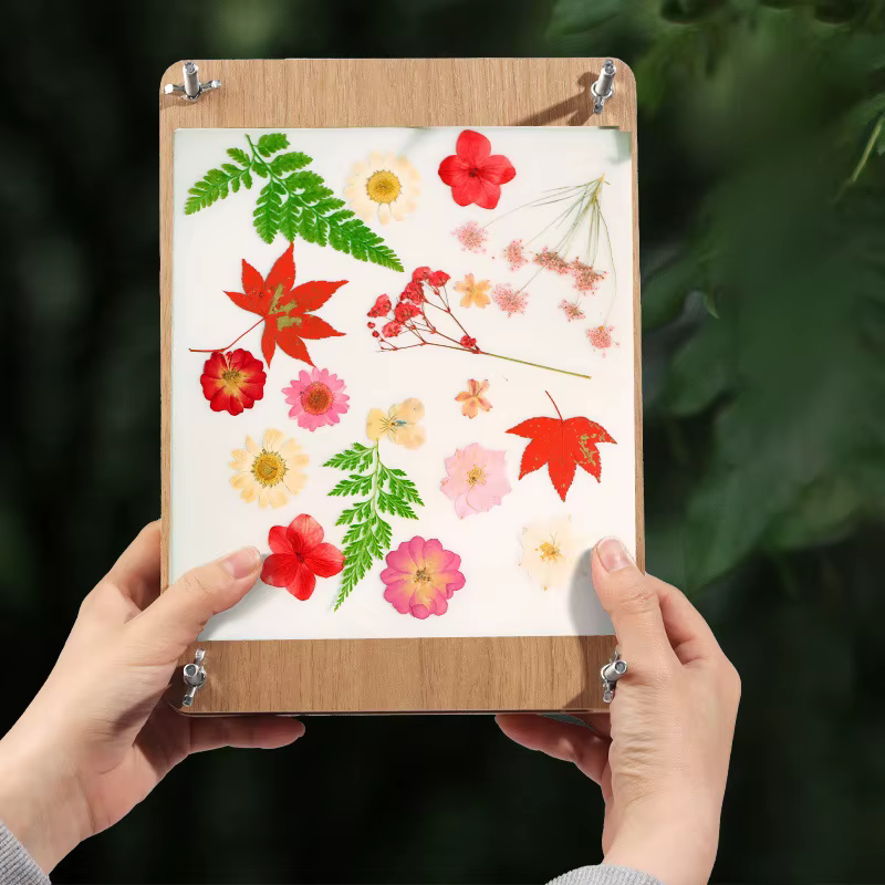 Kit de presse à fleurs DIY