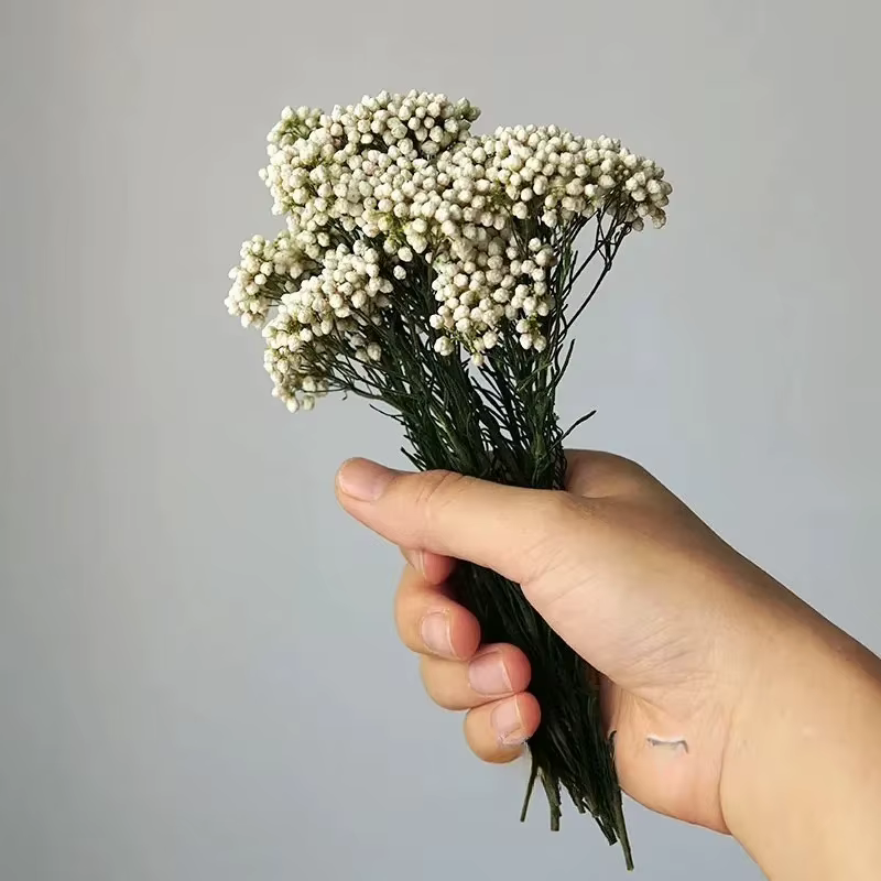 Fleurs de riz séchées naturelles