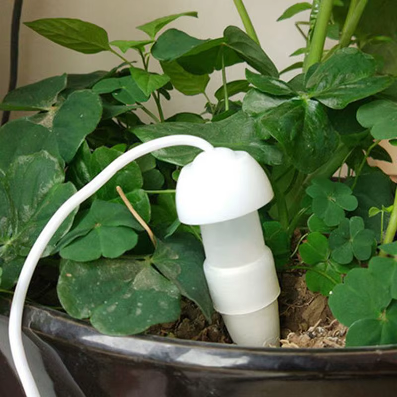 Dispositif d'arrosage automatique pour plantes