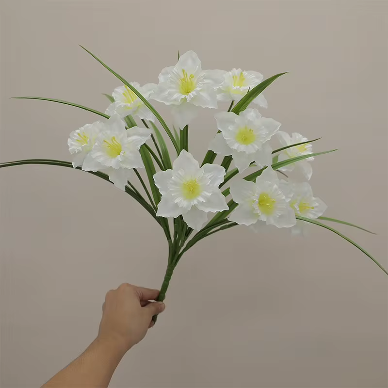 Plante de jonquille blanche