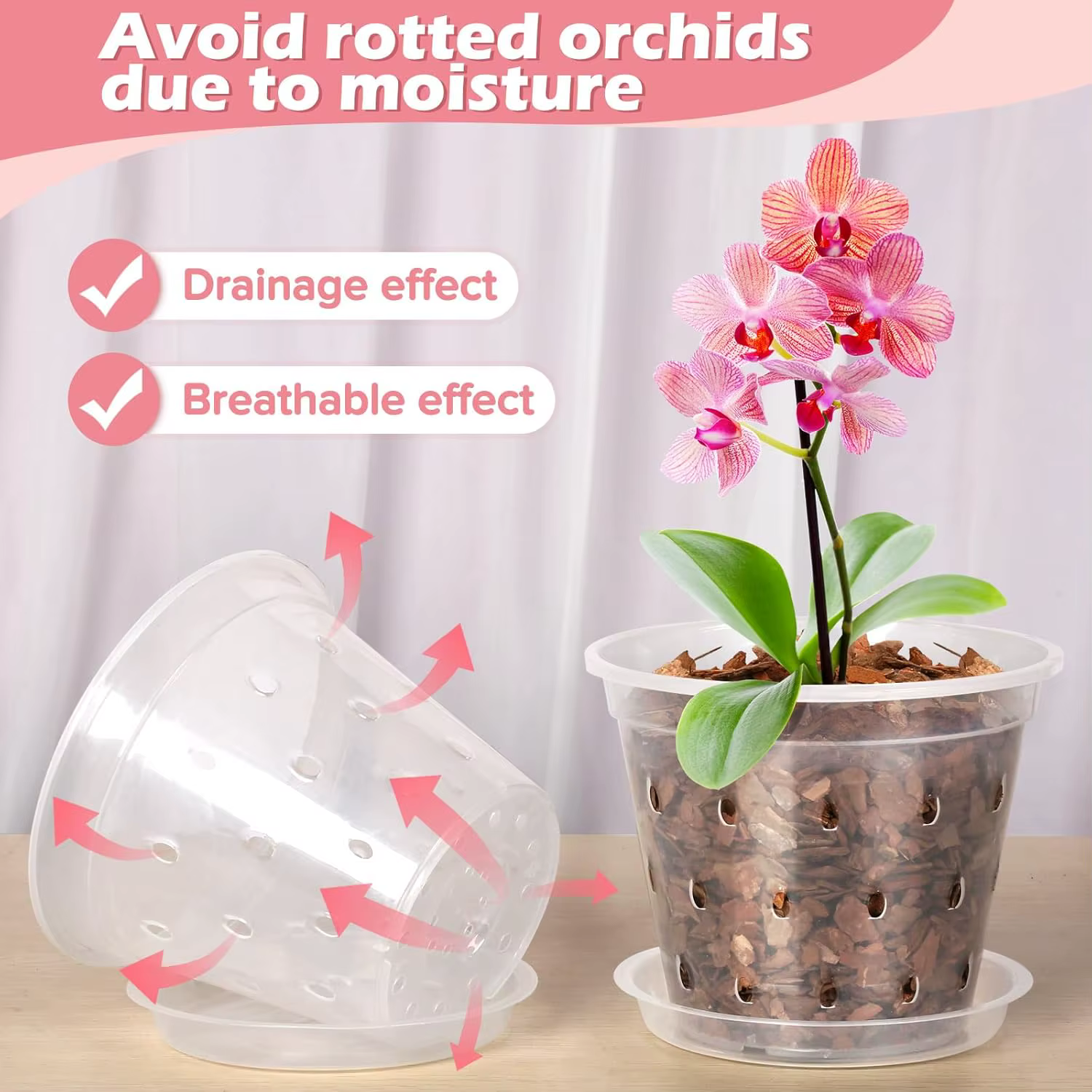 Pot d'orchidée Transparent 4/5/6/7 pouces