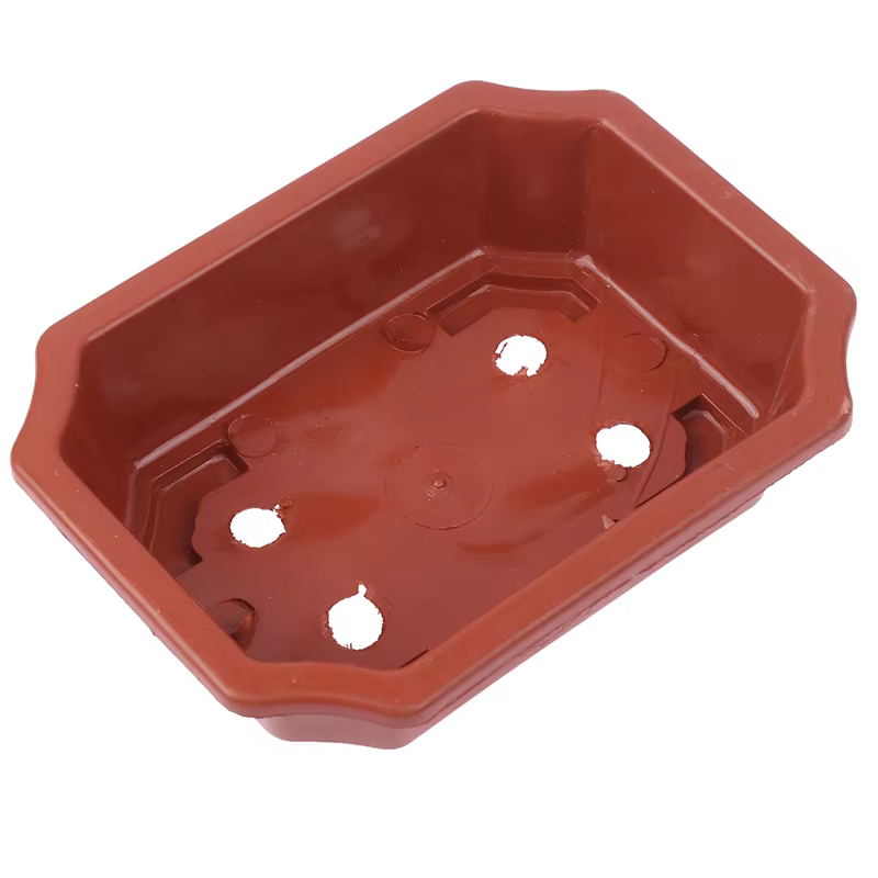 Pots de bonsaï Vintage en plastique