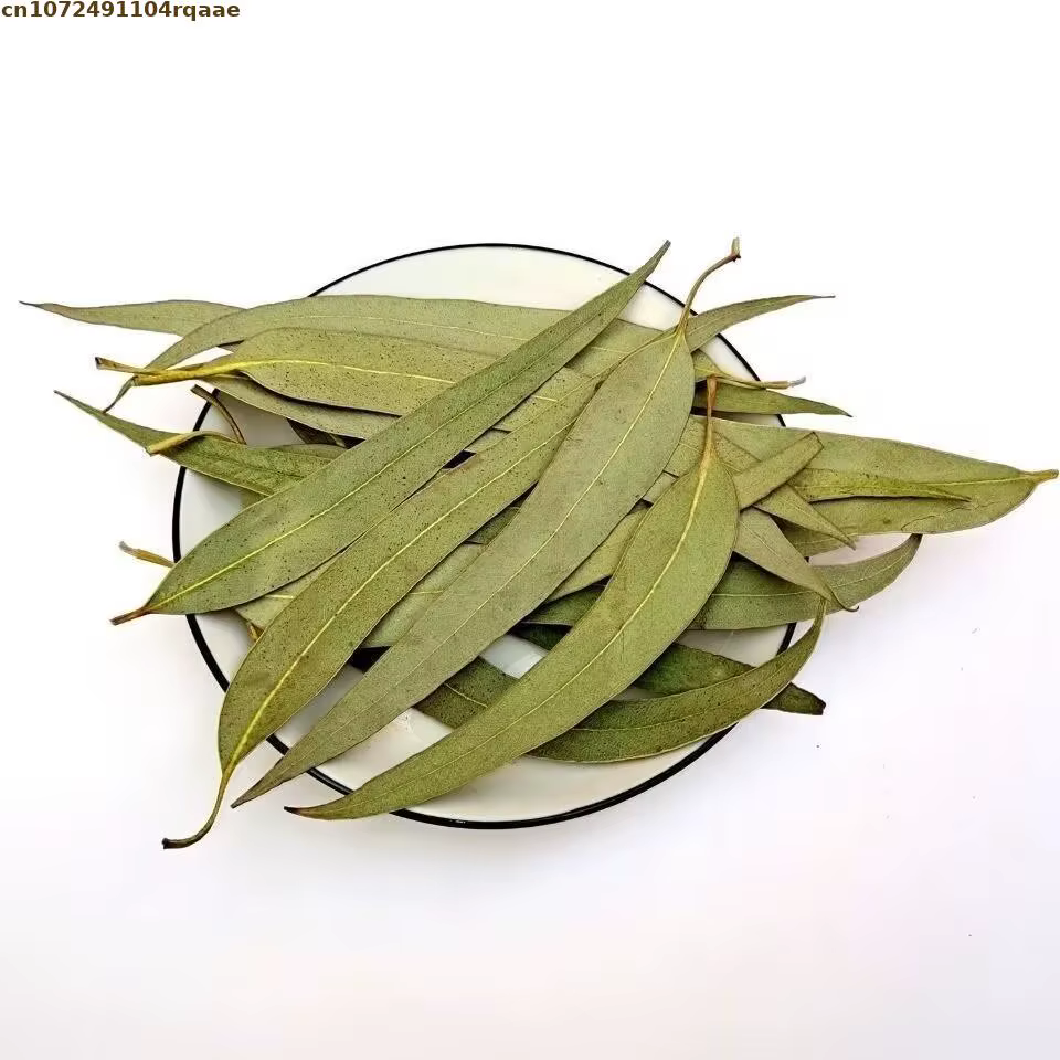 Feuilles d'eucalyptus séchées naturelles