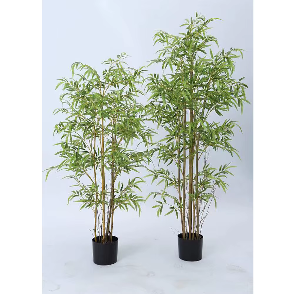 Branche de bambou de Taiwan