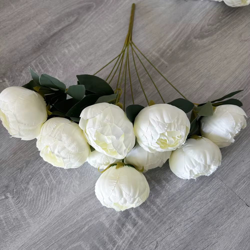 Pivoine blanche avec boutons de fleurs