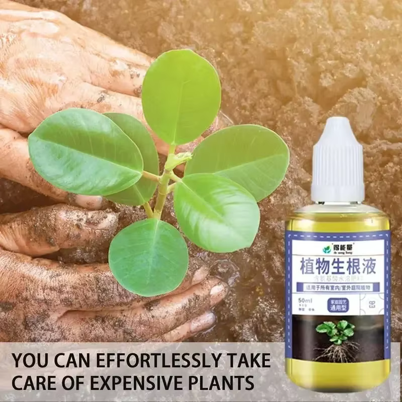 Stimulateur d'enracinement rapide pour plantes
