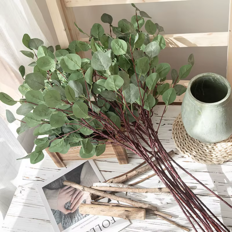 Feuilles d'eucalyptus vertes