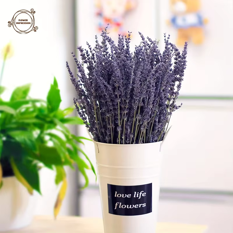 Bouquets de fleurs de µséchées naturelles