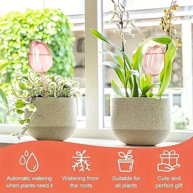 Boules d'arrosage pour plantes tulipes roses de jardin