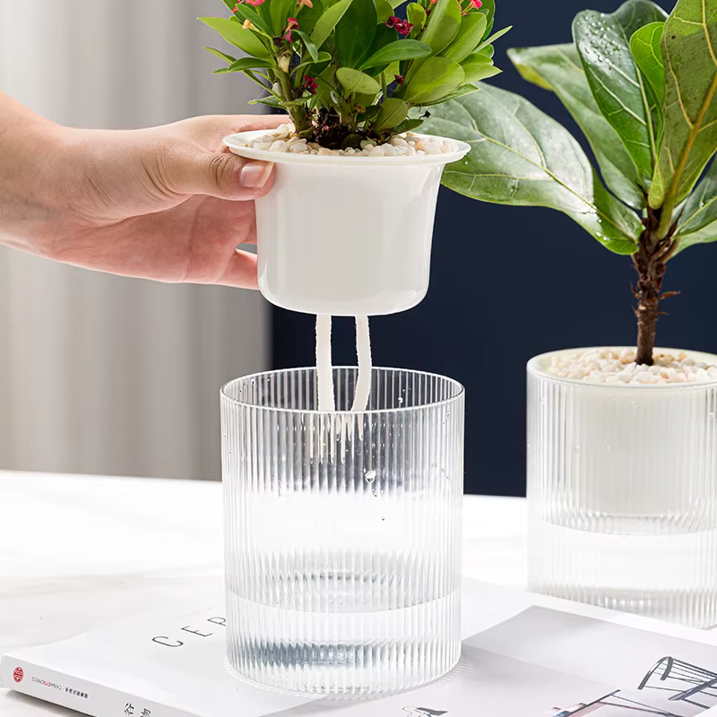Pot de fleurs auto-arrosage pour plantes hydroponiques succulentes d'intérieur