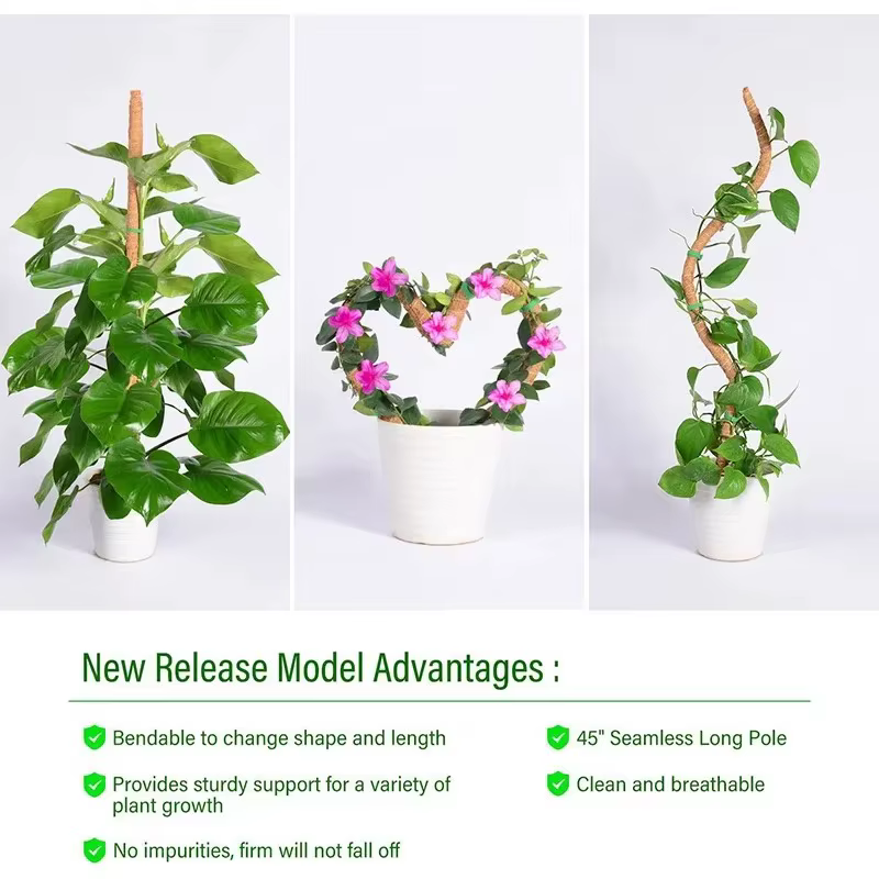 Support de grimpement pliable pour plantes