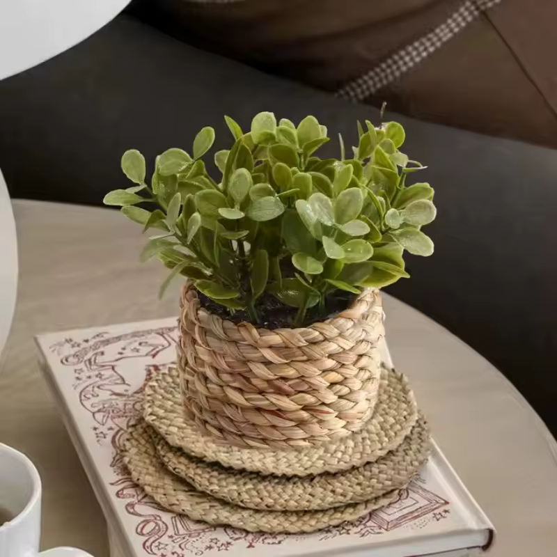 Plante en Pot petites fausses plantes