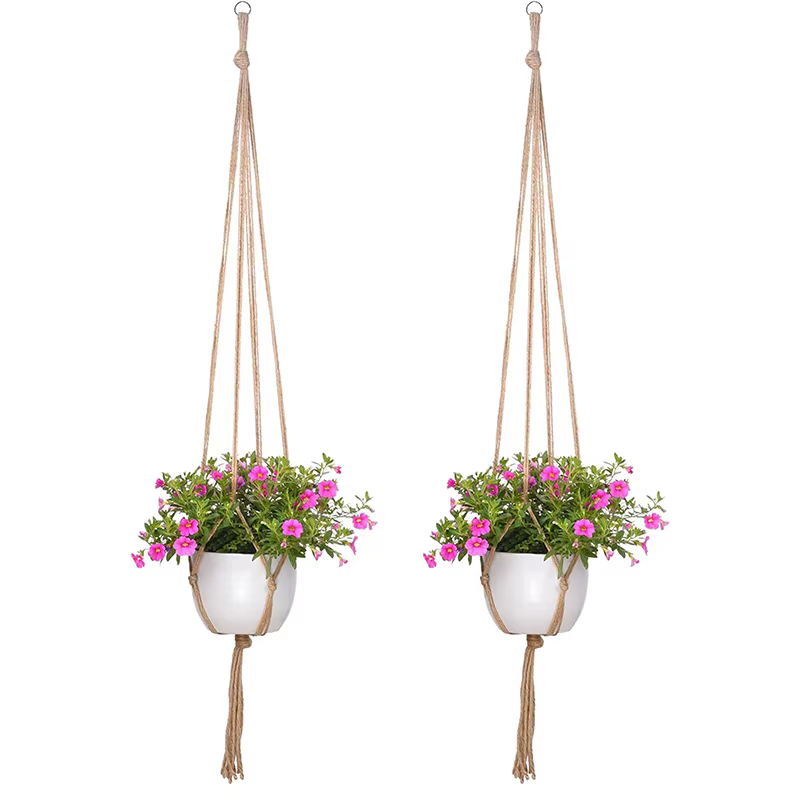 Pot de plantes suspendu