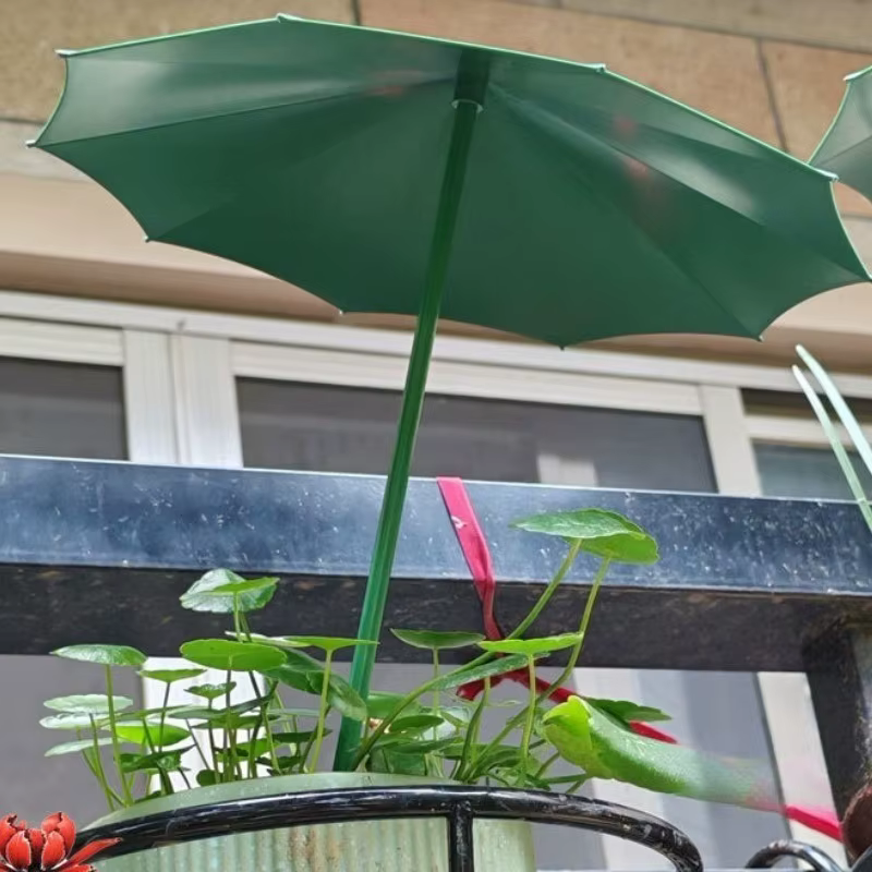 Parasol pour plantes d'extérieur