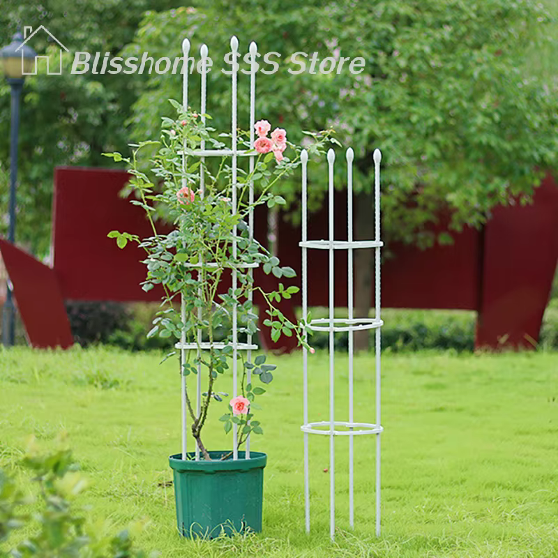 【S】1 ensemble de cages de soutien pour plantes grimpantes