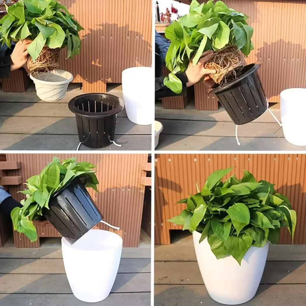 Pot de fleur paresseux à absorption d'eau automatique