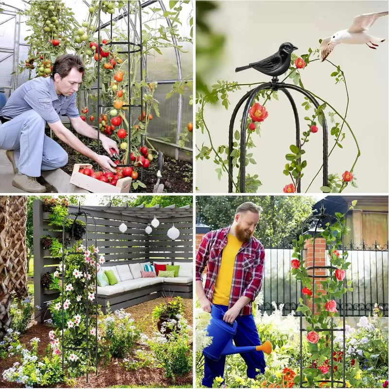 Supports de plantes en forme d'obélisque pour jardin