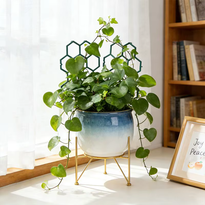 Support pour Plantes Grimpantes pour Balcon