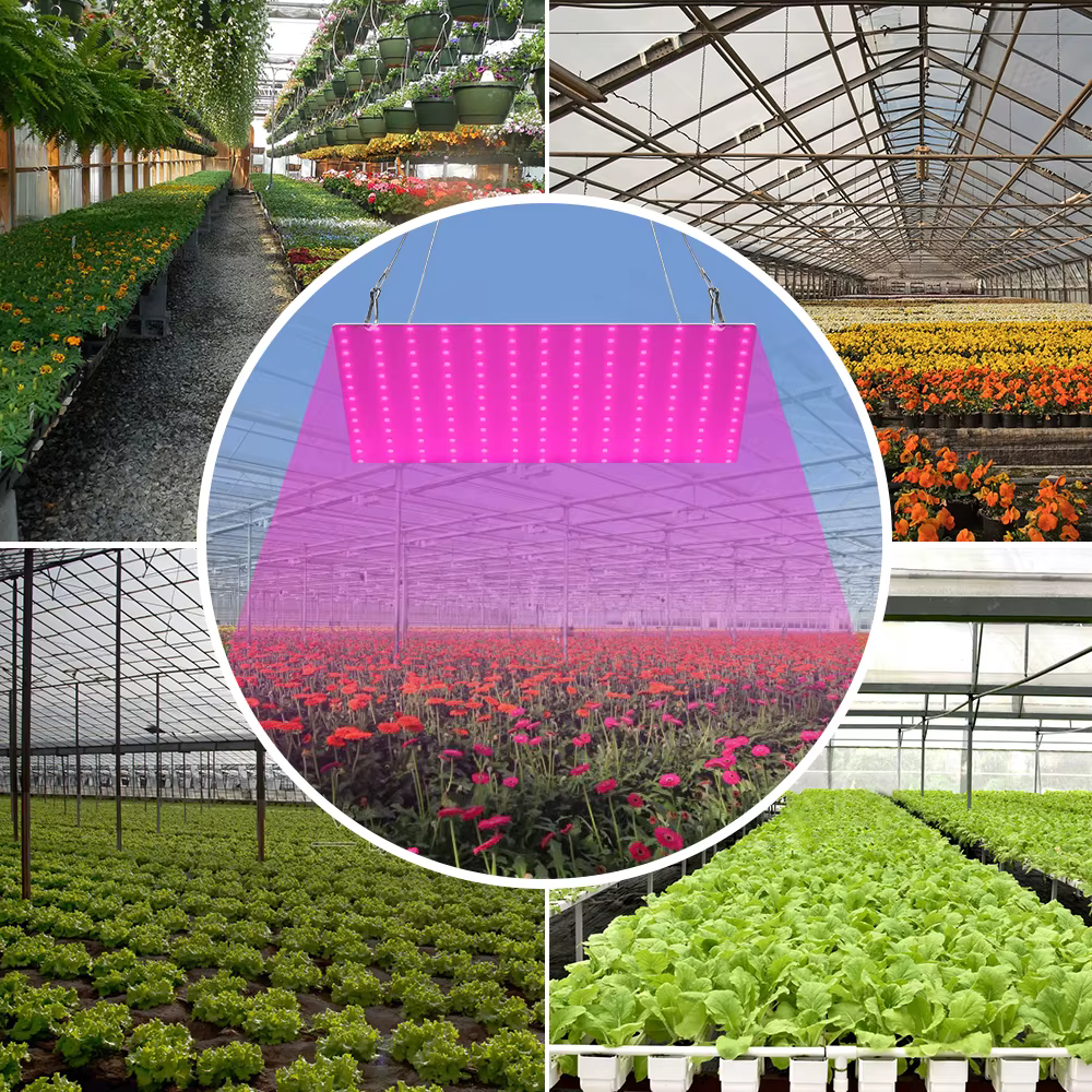 LED plante d'intérieur lumière spectre complet LED panneau de culture Phyto lampe
