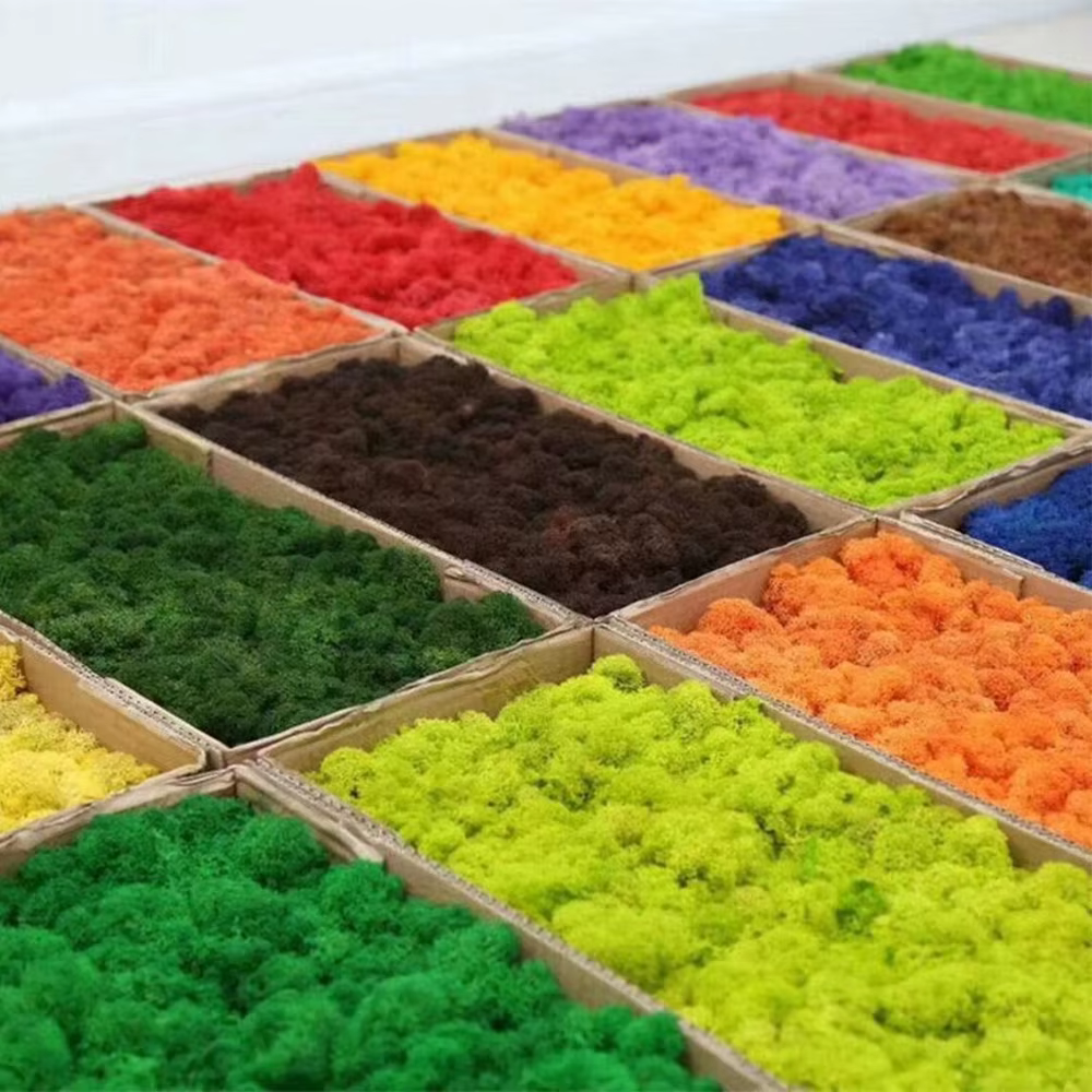 Plantes vertes artificielles Mini paysage vie éternelle mousse herbe fausse