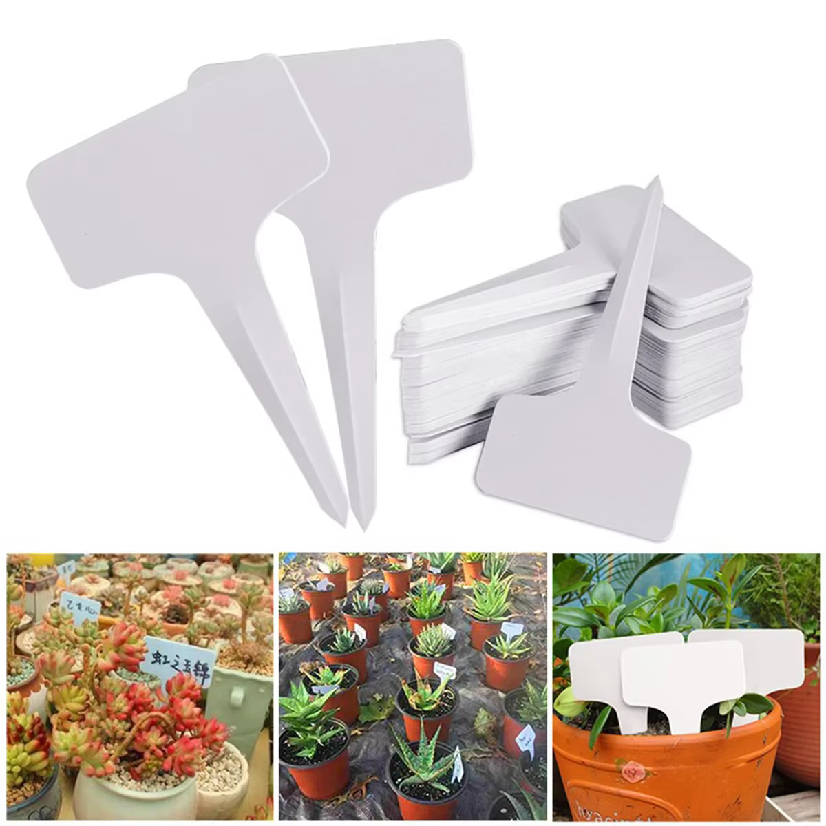 Étiquettes de jardin blanches pour plantes