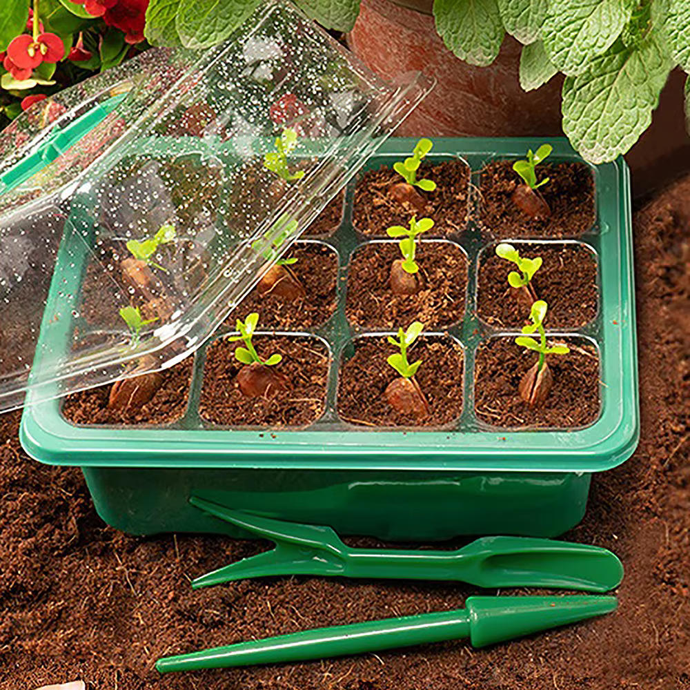 Pots de plantes en plastique à trous