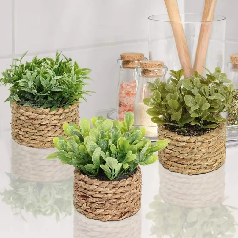 Plante d'eucalyptus artificielle verte de 11 cm – Petite