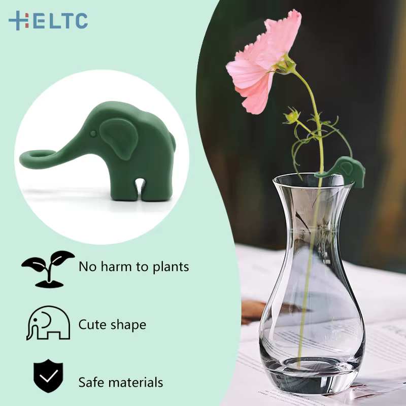 Éléphant plante Propagation copain