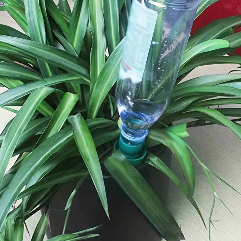 1 dispositif d'arrosage pour plantes d'intérieur domestiques