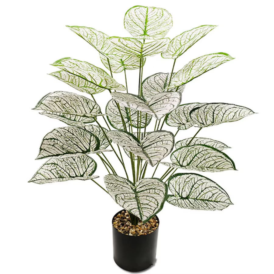 Plantes artificielles, feuille blanche et verte
