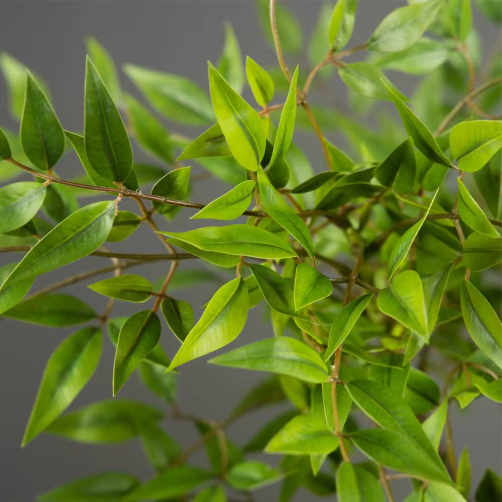 Plantes Nandina artificielles de 75 à 140cm de haut