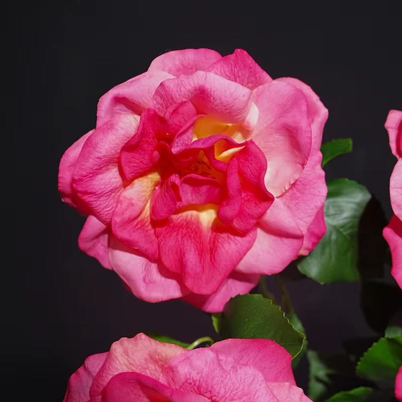 12 pièces de branches artificielles de Rosa Chinensis au toucher réel