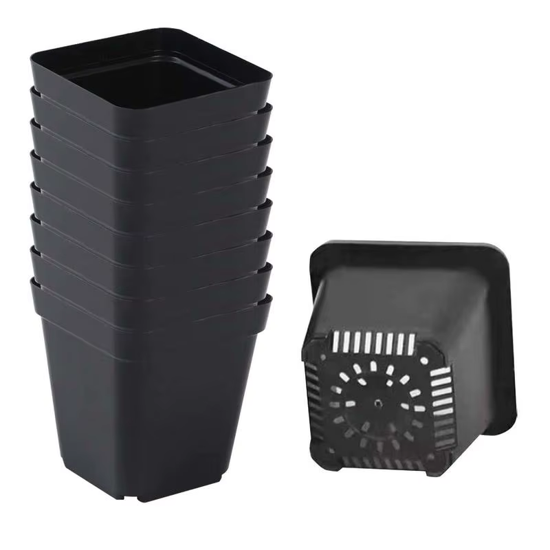 Pots de semis 50 pièces carrés plante semis-gobelet de plantation en plastique pépinière profonde arbre Pot fleur