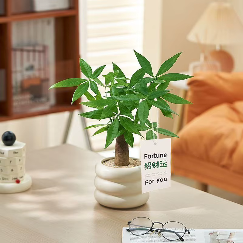 Vases à fleurs de dessin animé en forme de Koala