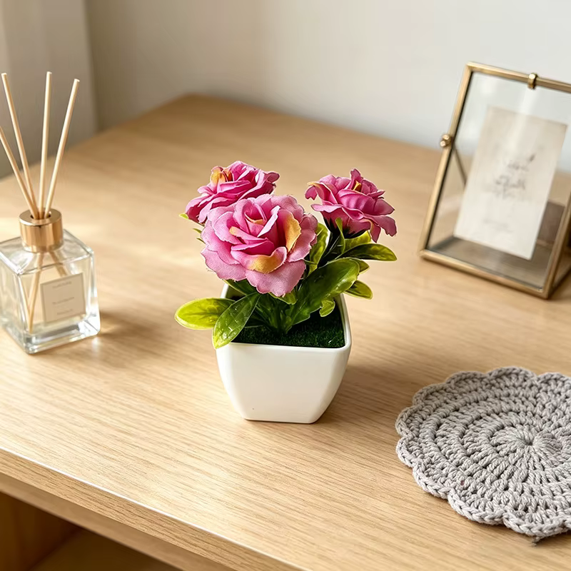 Mini plante en pot avec 3 roses