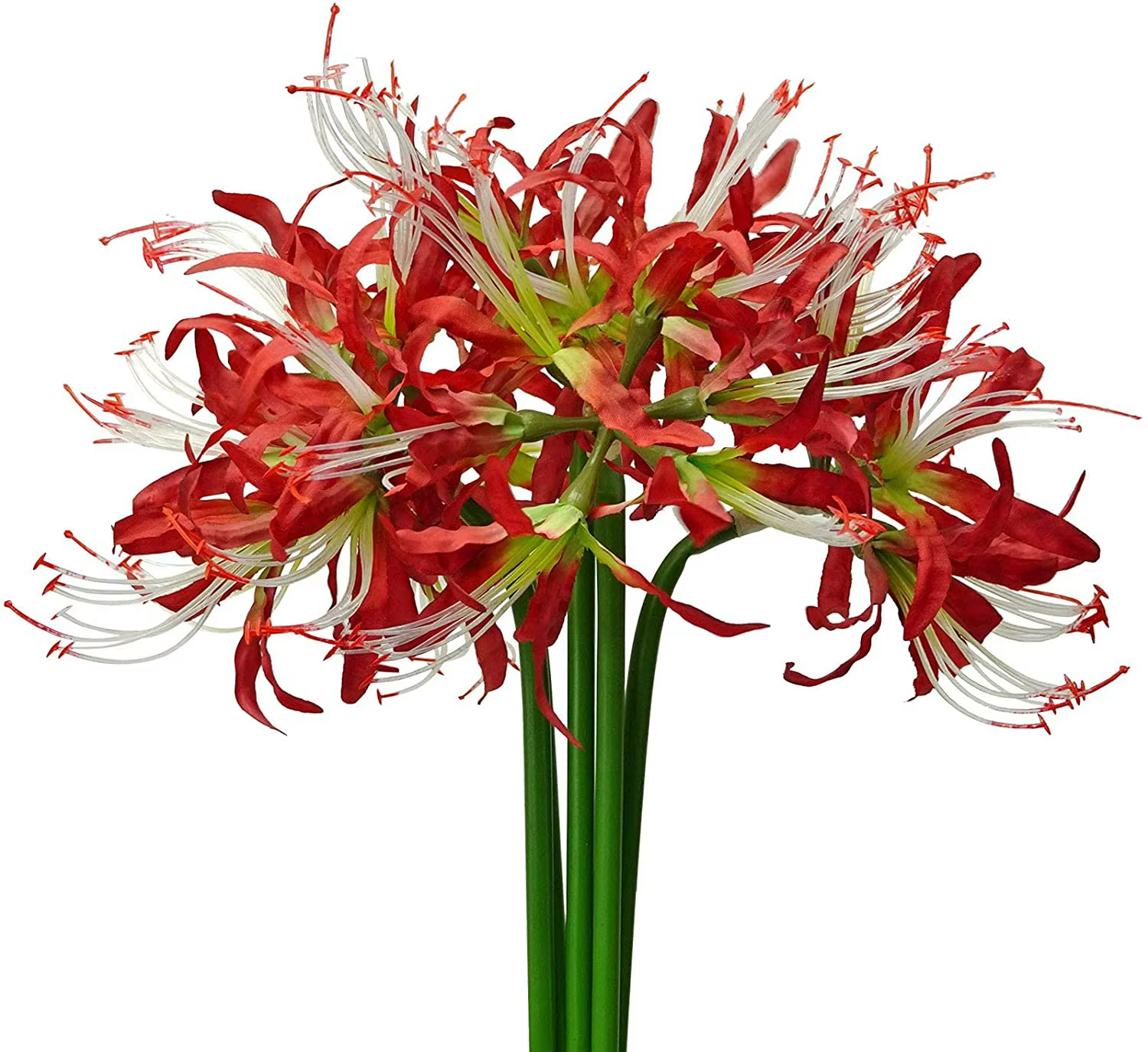 5 pièces fleurs artificielles araignée lys ampoules Lycoris