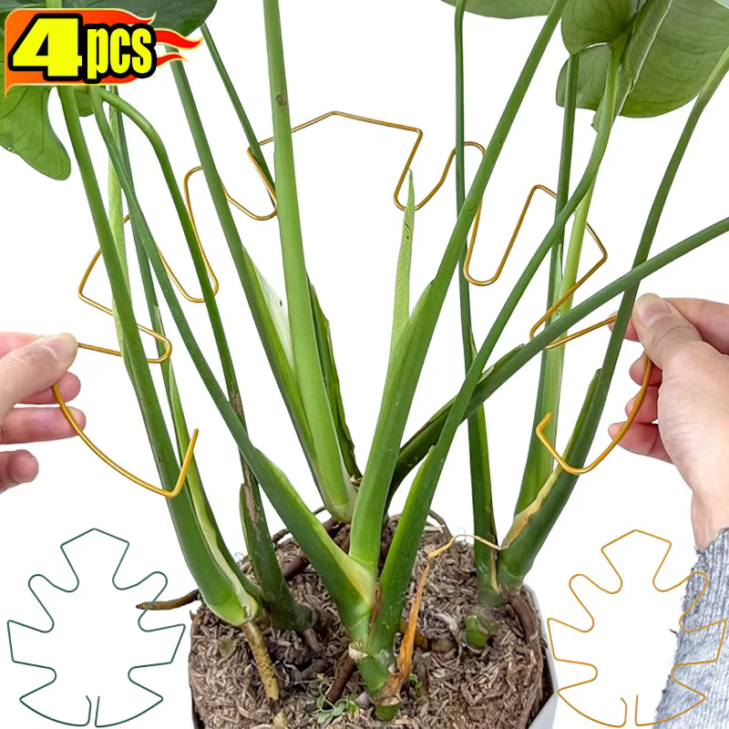 Monstera – Support de tige de plante