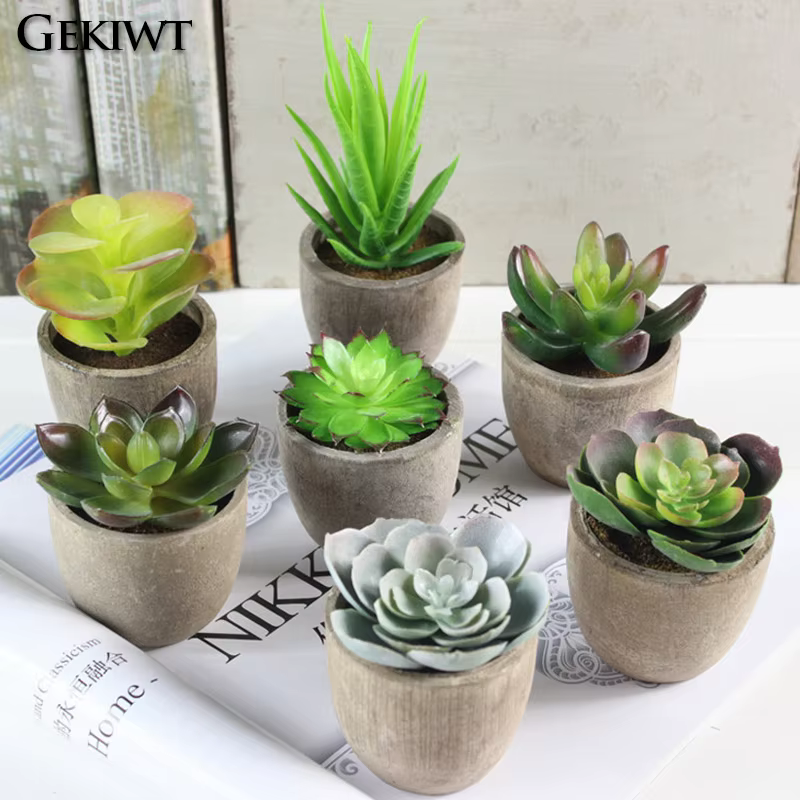 Mini plantes succulentes artificielles à feuilles persistantes